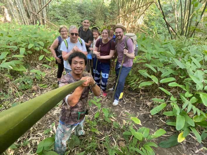 1 Day trekking : Chiang Rai popular activity,Fun in Nature. - Akha and Lahu villages, farms and open scenery