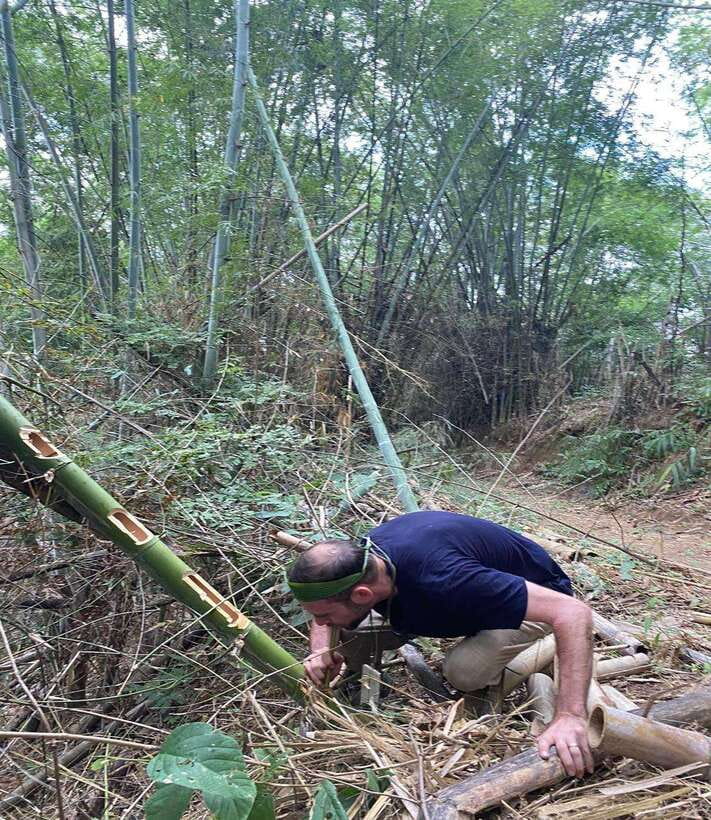 1 Day Trekking in Chiang Rai forest (walk only) - Is $57 good value?