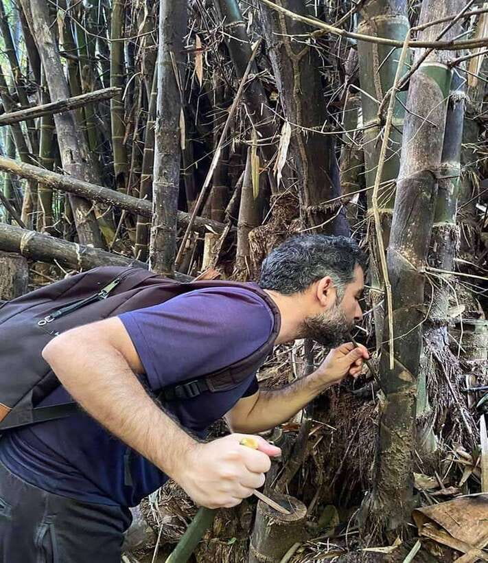 1 Day Trekking in Chiang Rai forest (walk only) - Huai Kaew Waterfall and a welcome swim