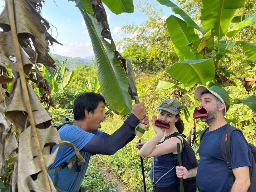 1 Day Trekking in Chiang Rai forest (walk only) - The first two hours are the hardest