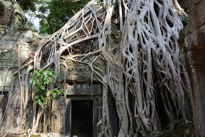 2-Day Angkor Wat Tour from Bangkok - The guides can shape the whole experience