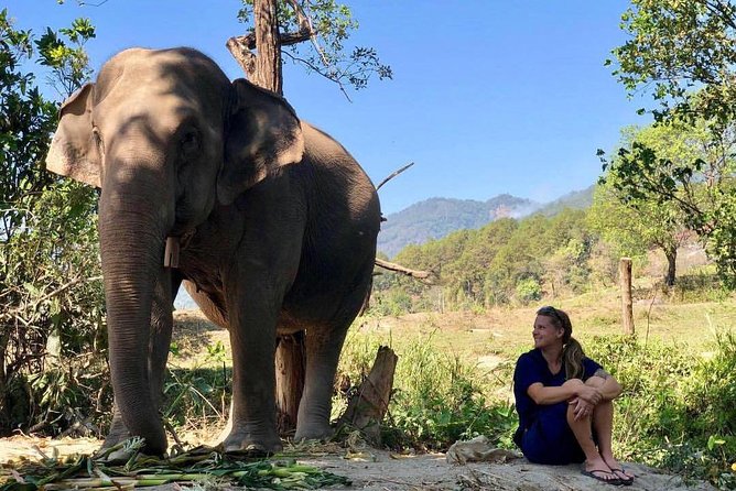 3-in-1: Doi Inthanon Tour, Elephant Sanctuary, and Trekking Trail - Ban Mae Klang Luang and locally grown coffee