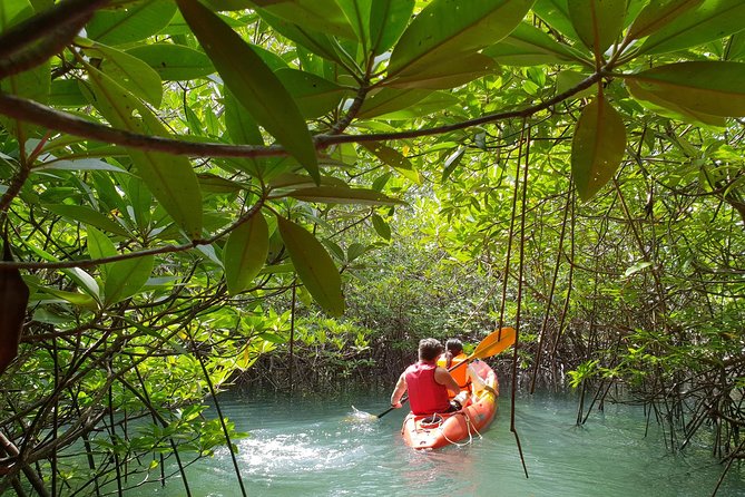 4-Waters Eco-Adventure Trip from Phuket Including Lunch - Sunset and swimming at Natai Beach
