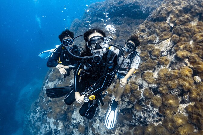 Advanced Adventurer - 2 days ( Advanced Open Water) - Navigation: learning to return with a plan