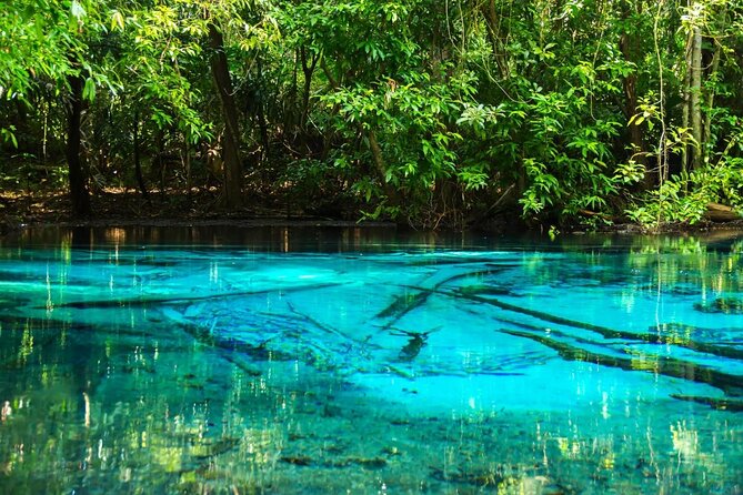 All day Krabi Jungle Tour (Hot Spring Water, Emerald Pool, Tiger Cave Temple) - Namtok Ron: sitting in a natural hot bath