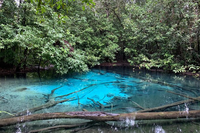 All day Krabi Jungle Tour (Hot Spring Water, Emerald Pool, Tiger Cave Temple) - Should you book this Krabi jungle tour?