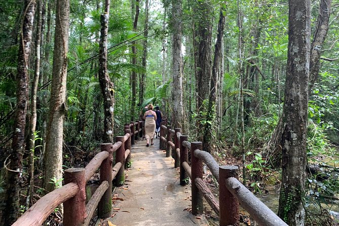 All day Krabi Jungle Tour (Hot Spring Water, Emerald Pool, Tiger Cave Temple) - The rainforest path to Emerald Pool