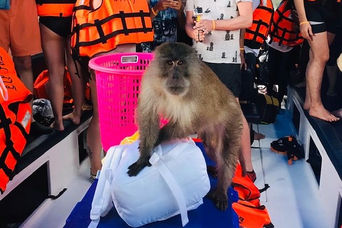 All-in Phi Phi, Maiton, MayaBay, Khai, Bamboo islands Tour - A very full day from Phuket