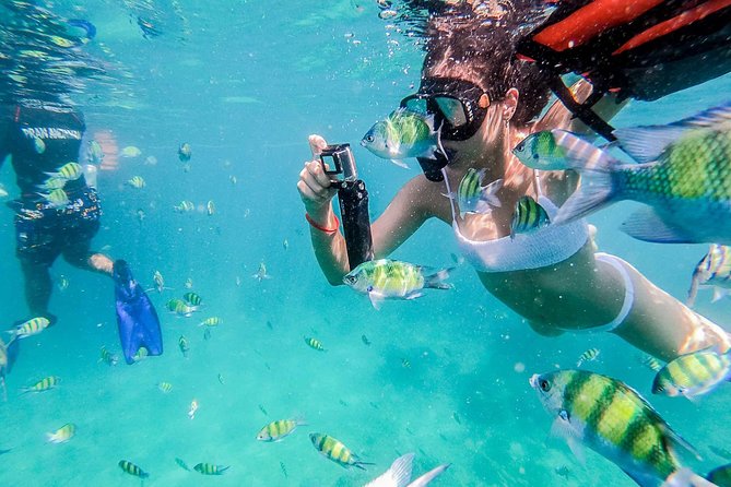 All-in Phi Phi, Maiton, MayaBay, Khai, Bamboo islands Tour - Monkey Beach and the macaques of Phi Phi
