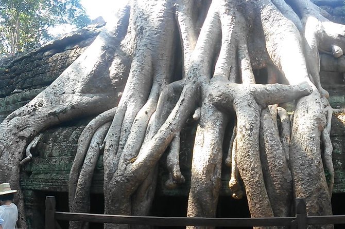Angkor Wat 3-Day Tour from Bangkok - Who should book this Angkor Wat trip