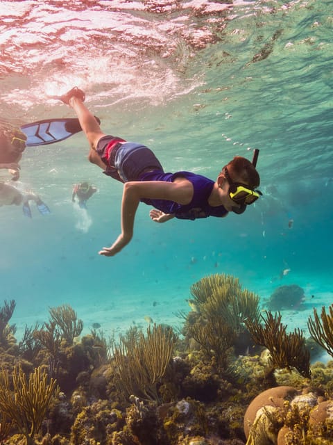 Ao Nang: 4 Islands Day Tour by Speedboat or Longtail Boat - Poda Island, lunch, and the longest break