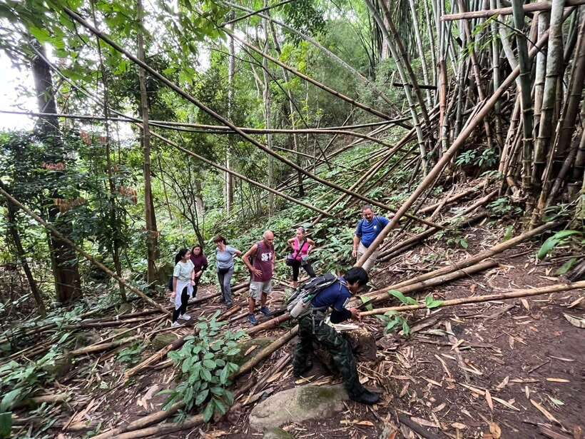 Authentic trek only walk in Chiang Rai jungle - Is $57 good value for nine hours?