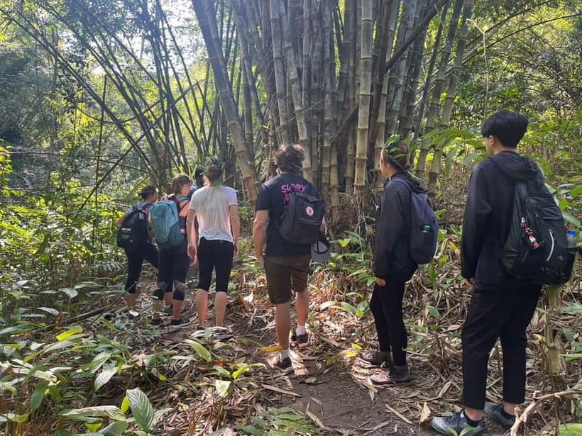 Authentic trek only walk in Chiang Rai jungle - The 9 am pickup and ride from Chiang Rai