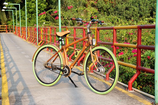Bamboo Bicycle Tour in twilight: watch dancing Fireflies in Bangkok - Searching for fireflies from a longtail boat