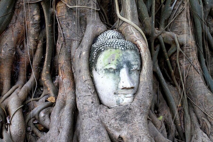 Bangkok: Audio guides for Bangkok, Ayutthaya & Chiang Mai - Chiang Rai: White Temple and the wider region