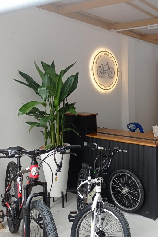 Bangkok Bicycle rental Benjakitti Park - Entering the park and finding your own rhythm