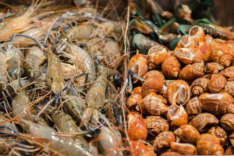Bangkok: Chinatown Night Food Tour - Why Yaowarat works so well as a food tour