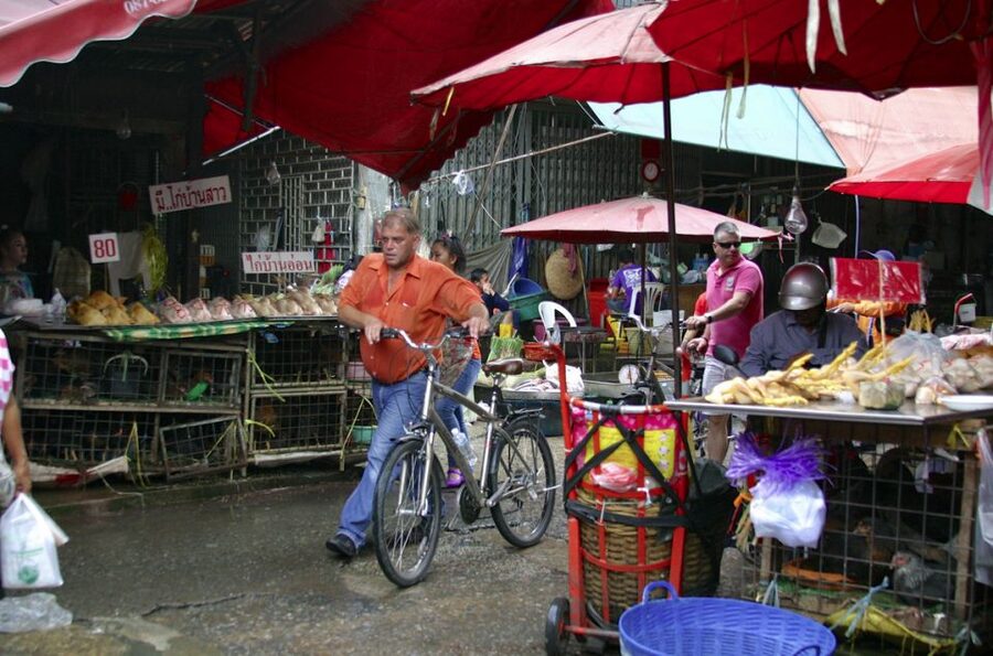 Bangkok: City Culture half-day Bike Tour - Lumpini Park and its monitor lizards