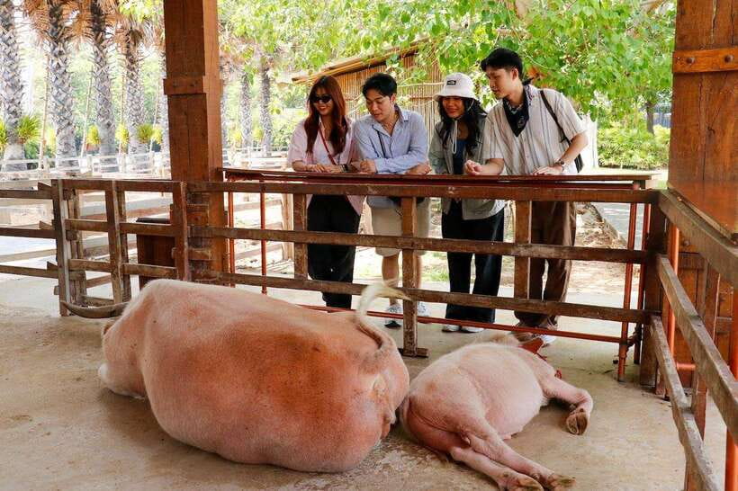 Bangkok: Damnoen Saduak and Train Market with Boat Ride - Why these two markets belong on the same day