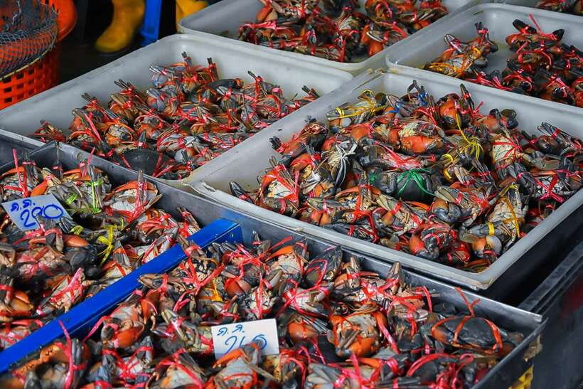Bangkok: Damnoen Saduak Market and Maeklong Railway Market - Is the $25 price good value?
