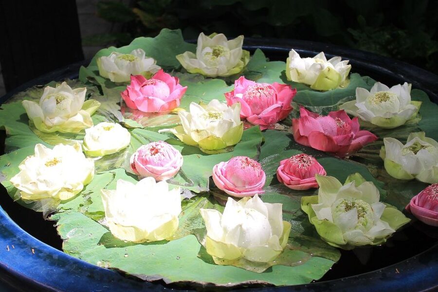 Bangkok: Jim Thompson House and Baan Krua Community Tour - Should you book the Jim Thompson and Baan Krua tour?