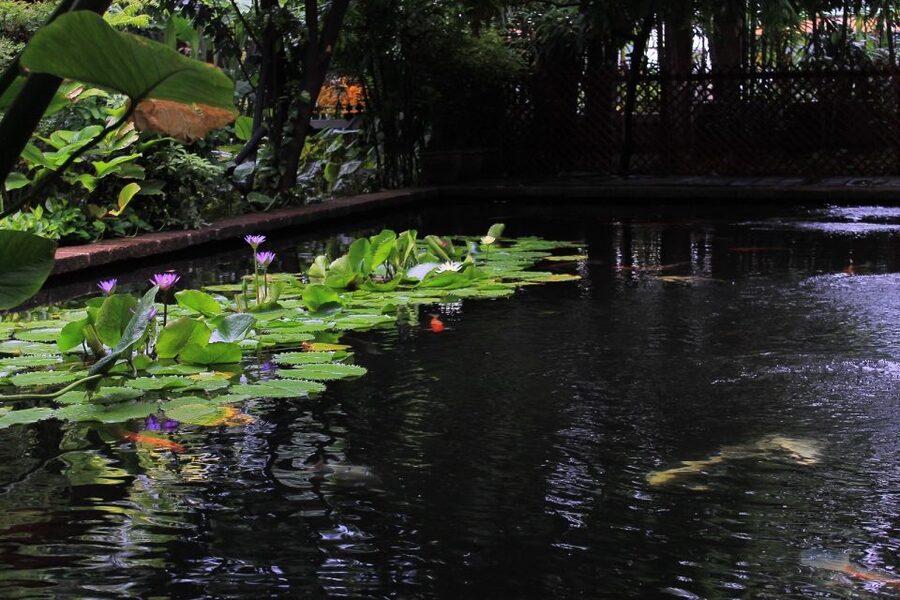 Bangkok: Jim Thompson House and Baan Krua Community Tour - Is $55 a fair price?