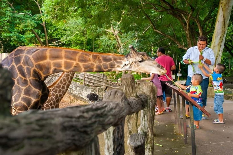 Bangkok/Pattaya: Khao Kheow Zoo Private Tour with Pickup - Entering the Pink Zone by private car