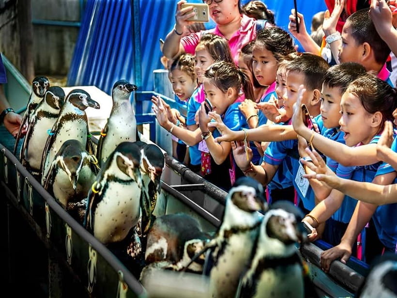 Bangkok/Pattaya: Khao Kheow Zoo Private Tour with Pickup - Moo Daeng and the animal encounters