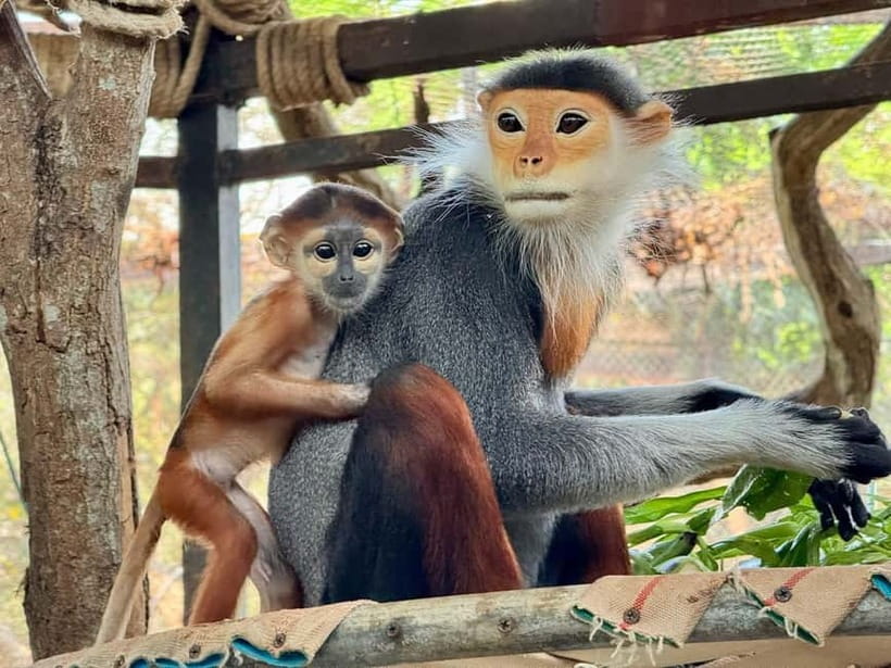 Bangkok/Pattaya: Khao Kheow Zoo Private Tour with Pickup - What the driver does for you