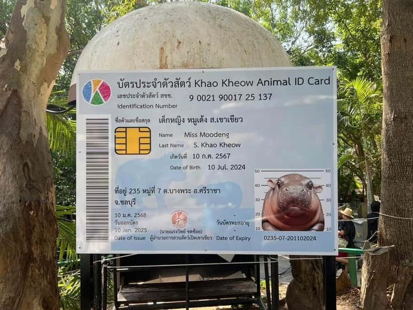 Bangkok/Pattaya: Khao Kheow Zoo Private Tour with Pickup - Families, couples, and accessibility