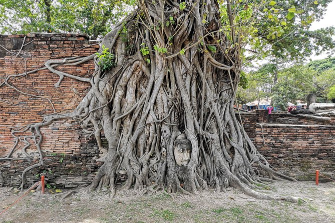 Bangkok: Private Ayutthaya and Bang Pa-In Summer Palace Tour - Who should book this Ayutthaya day trip?