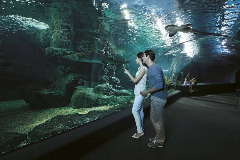 Bangkok: SEA LIFE Bangkok & Madame Tussauds Entry Ticket - Two Bangkok attractions, one easy Siam-area day