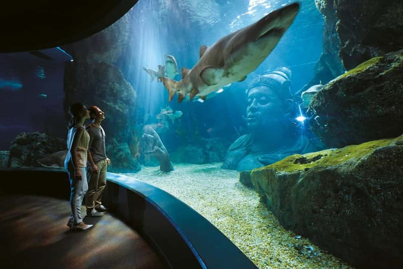 Bangkok: SEA LIFE Bangkok Ocean World Entry Ticket - Key points to know before you go