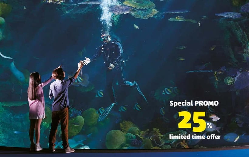 Bangkok: SEA LIFE Bangkok Ocean World Entry Ticket - The Ocean Tunnel puts sharks at center stage