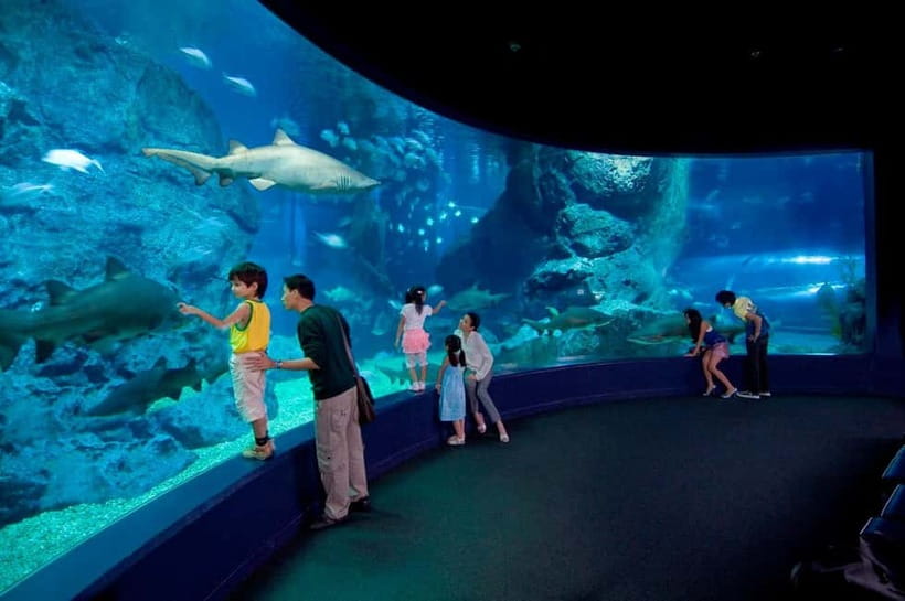 Bangkok: SEA LIFE Bangkok Ocean World Entry Ticket - How long you should plan to stay