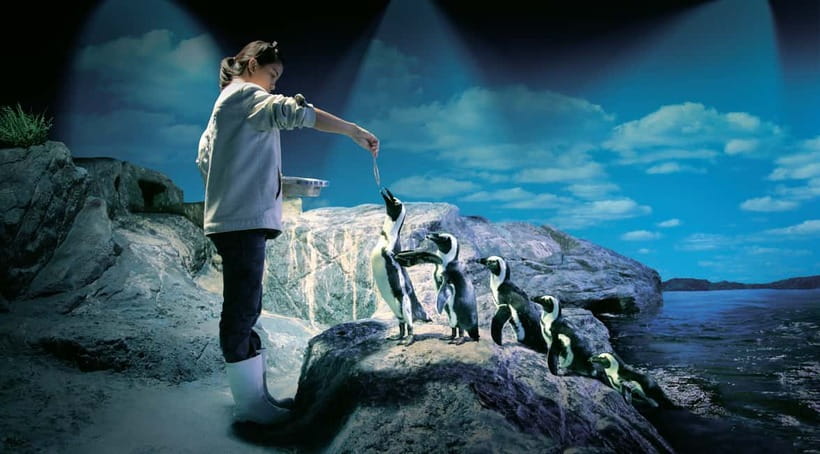 Bangkok: SEA LIFE Bangkok Ocean World Entry Ticket - Starting with Coral Reef and the open-water displays