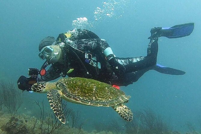 Become certified diver in 3 days - PADI Open Water Diver course on Koh Tao - Day one: five chapters, equipment practice, and shallow water