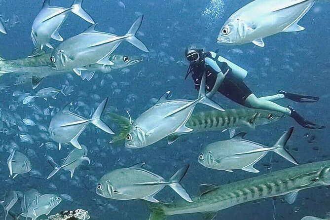Become certified diver in 3 days - PADI Open Water Diver course on Koh Tao - The teaching style and group size