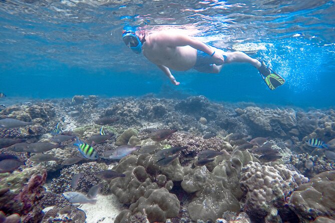 Best of Phi Phi Islands Snorkeling Tour from Phuket - A Fast Boat Morning at Royal Phuket Marina