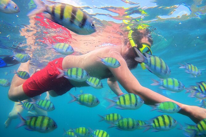 Best of Phi Phi Islands Snorkeling Tour from Phuket - Maya Bay: Famous, Beautiful, and Often Overwhelming