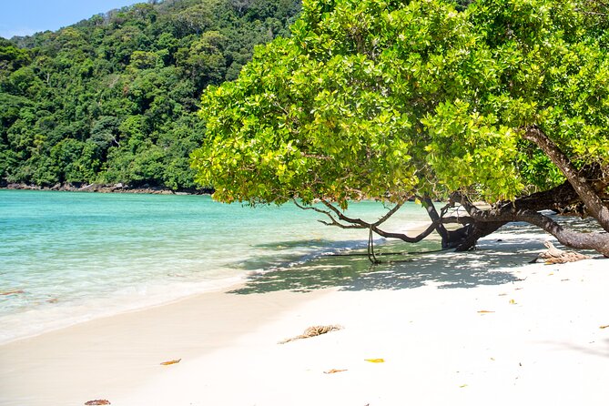 Best Seller - Surin Islands Snorkeling Trip from Khao Lak - Who should choose this Surin Islands day?