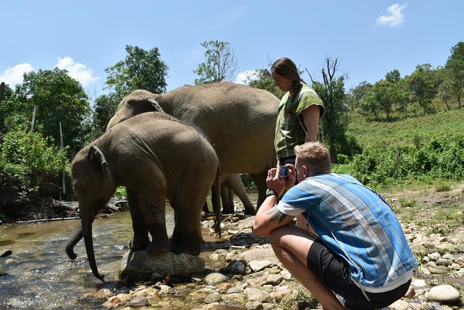 Care Pride Elephants: Full-Day Tour Experience - What the elephant care model means for you