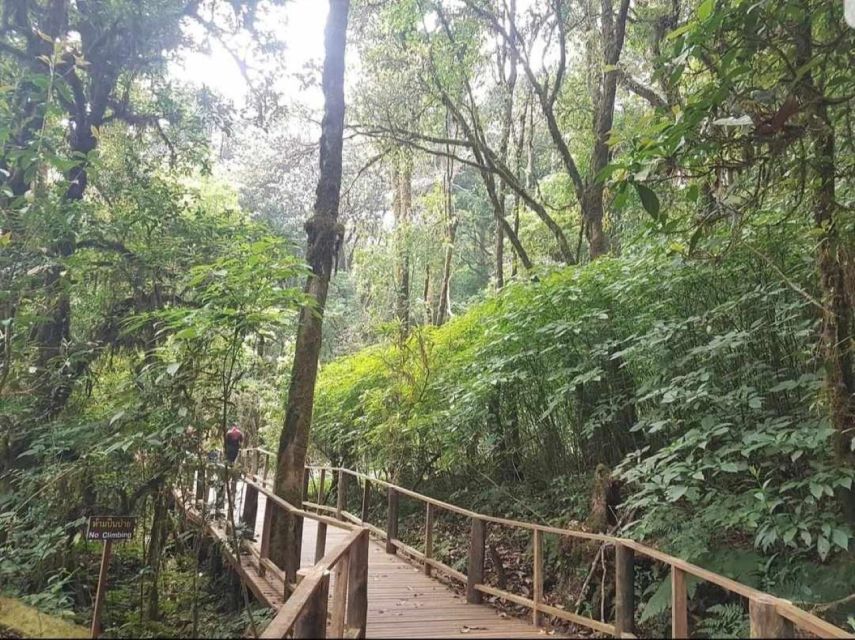 Chang Mai: Doi Inthanon Day Tour w/Waterfalls & Hilltribes - Key points to know before booking