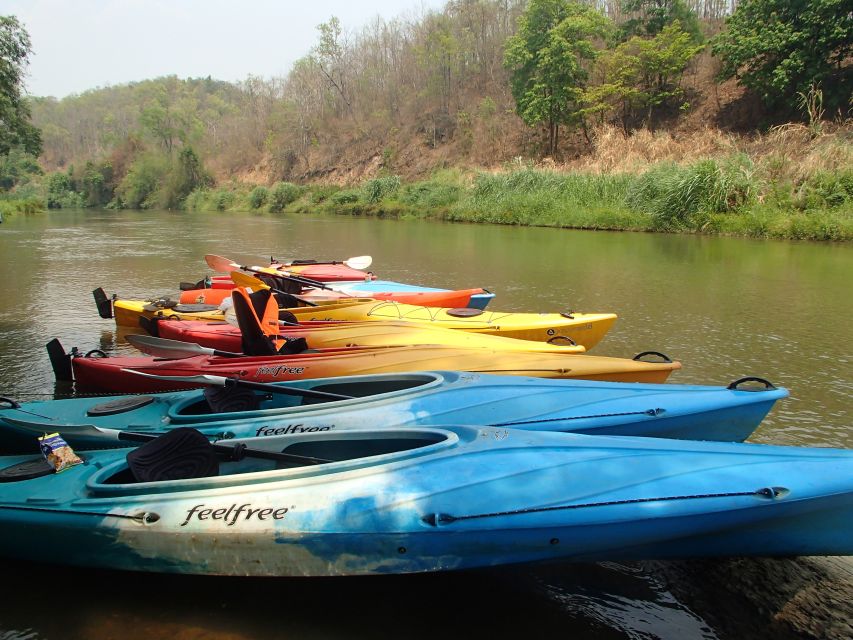 Chiang Mai: 15 km Leisure River Kayaking at Mae Ngat forest - Lunch at เฮือนบัวจันทร์กาแฟสด