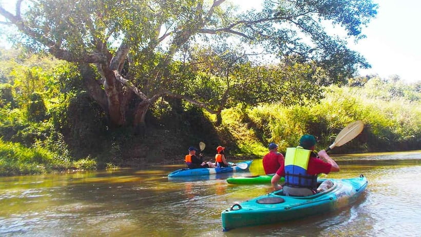 Chiang Mai: 15 km Leisure River Kayaking at Mae Ngat forest - The shaded final stretch and return to Chiang Mai