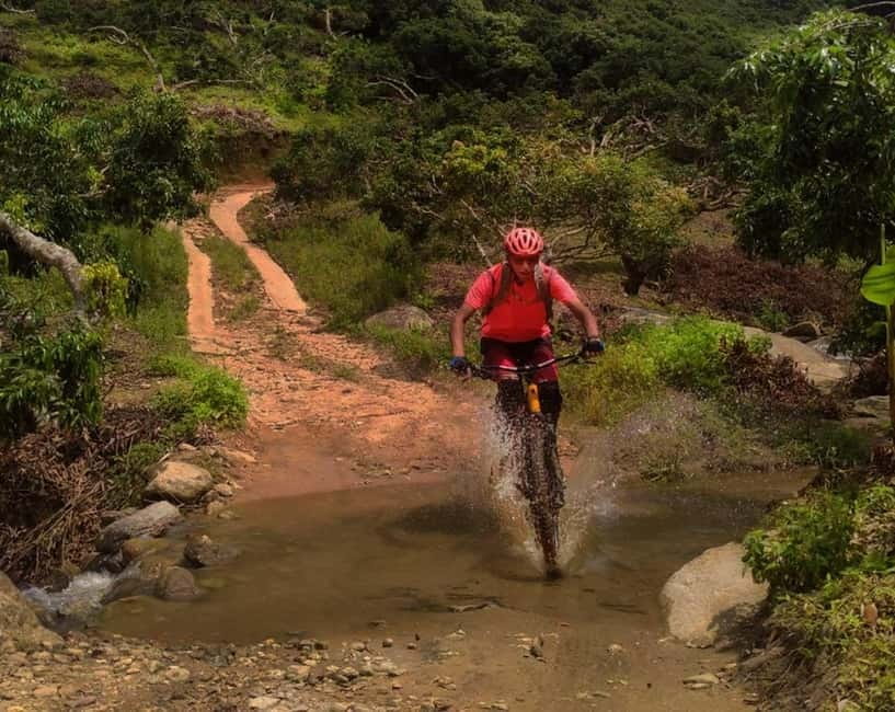 Chiang Mai: 20km Downhill Mountain Biking Challenge Suthep M - Key Points