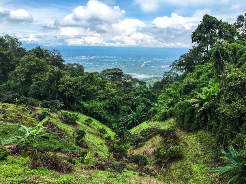 Chiang Mai: 20km Downhill Mountain Biking Challenge Suthep M - The Two-Hour Descent Through Forest and Village