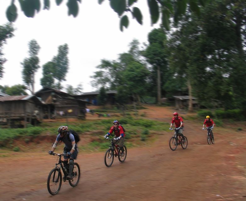 Chiang Mai: 20km Downhill Mountain Biking Challenge Suthep M - What the $60 Price Really Covers
