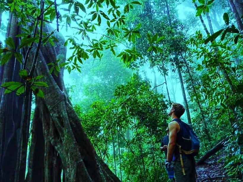 Chiang Mai: 7-Hour Doi Suthep National Park Summit Hiking - The hard section through Doi Suthep Pui National Park