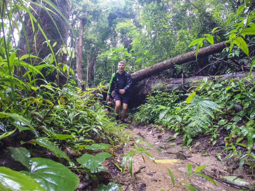 Chiang Mai: 7-Hour Doi Suthep National Park Summit Hiking - Lunch, transport, and the long return to Chiang Mai